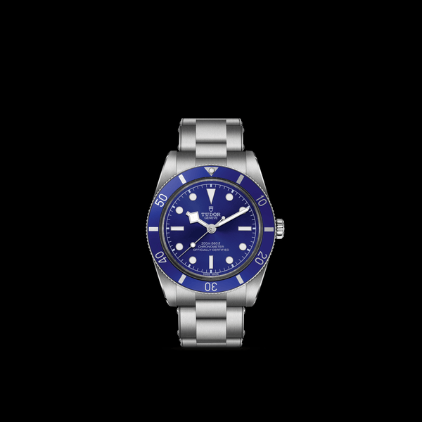 【正規販売】BLACK BAY 54