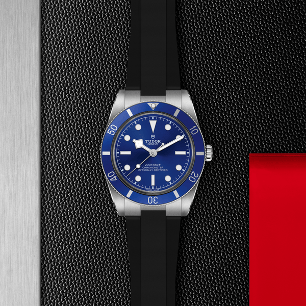 【正規販売】BLACK BAY 54