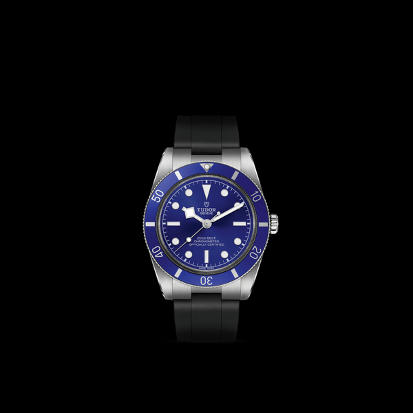 【正規販売】BLACK BAY 54