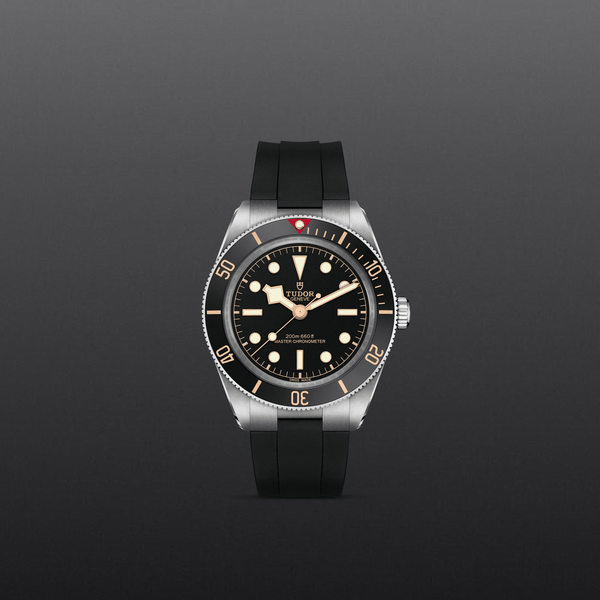 【正規販売】BLACK BAY 58