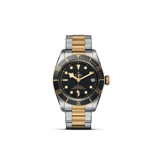 TUDOR BLACK BAY S&G M79733N-0008 スチール＆ゴールド M79733N-0008